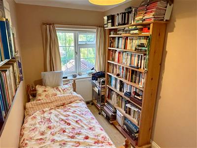 Picture 21